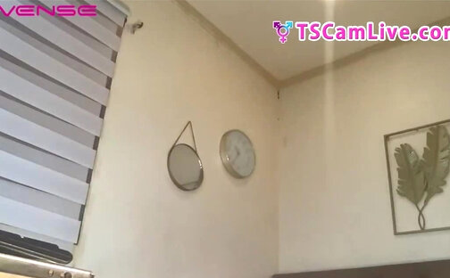 Captivating Asian BigBoobs TS  Live at Webcam Part 2