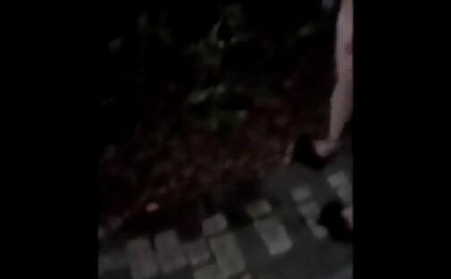 asiatic tranny pissing on a street